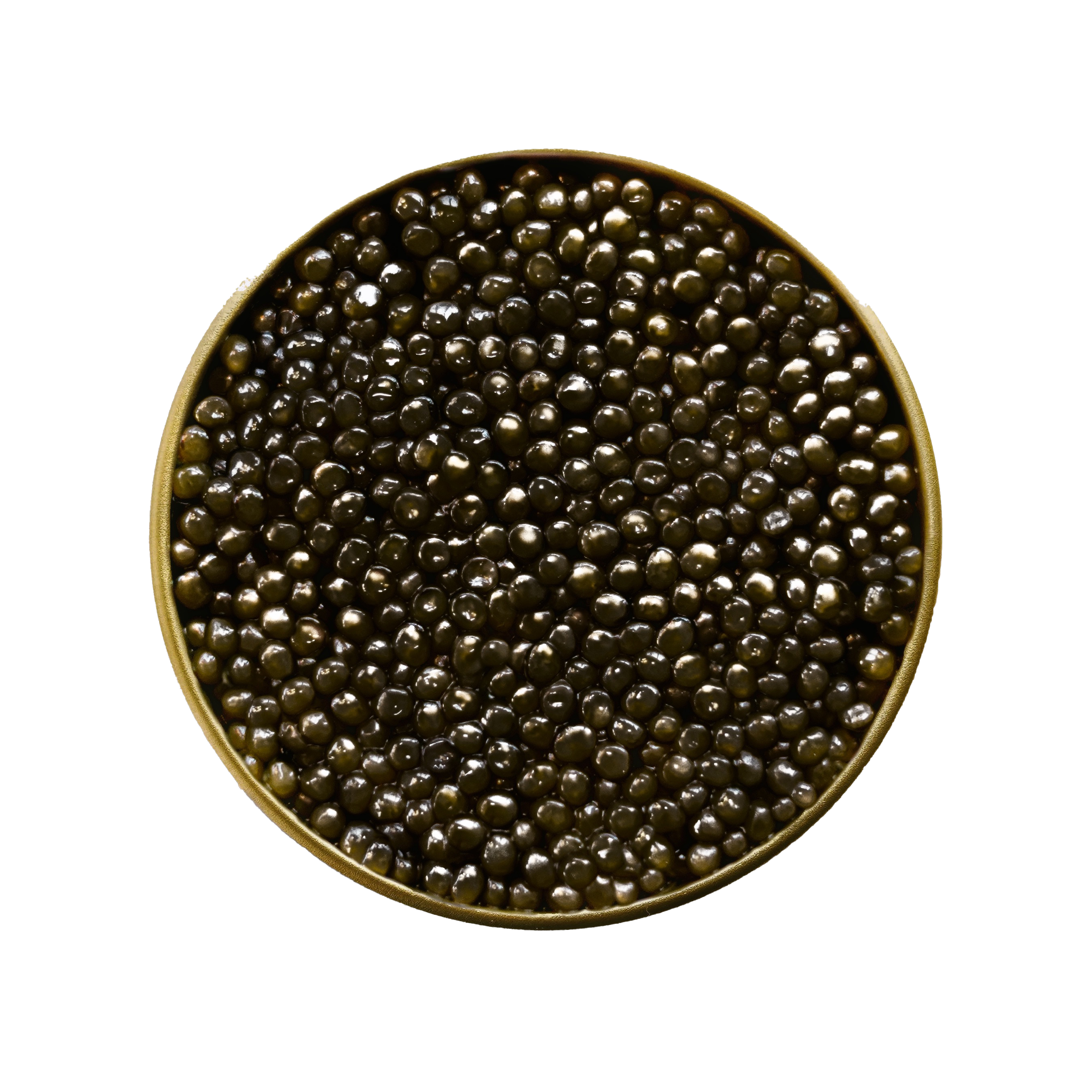 Beluga Hybrid Caviar tin from Altima Caviar